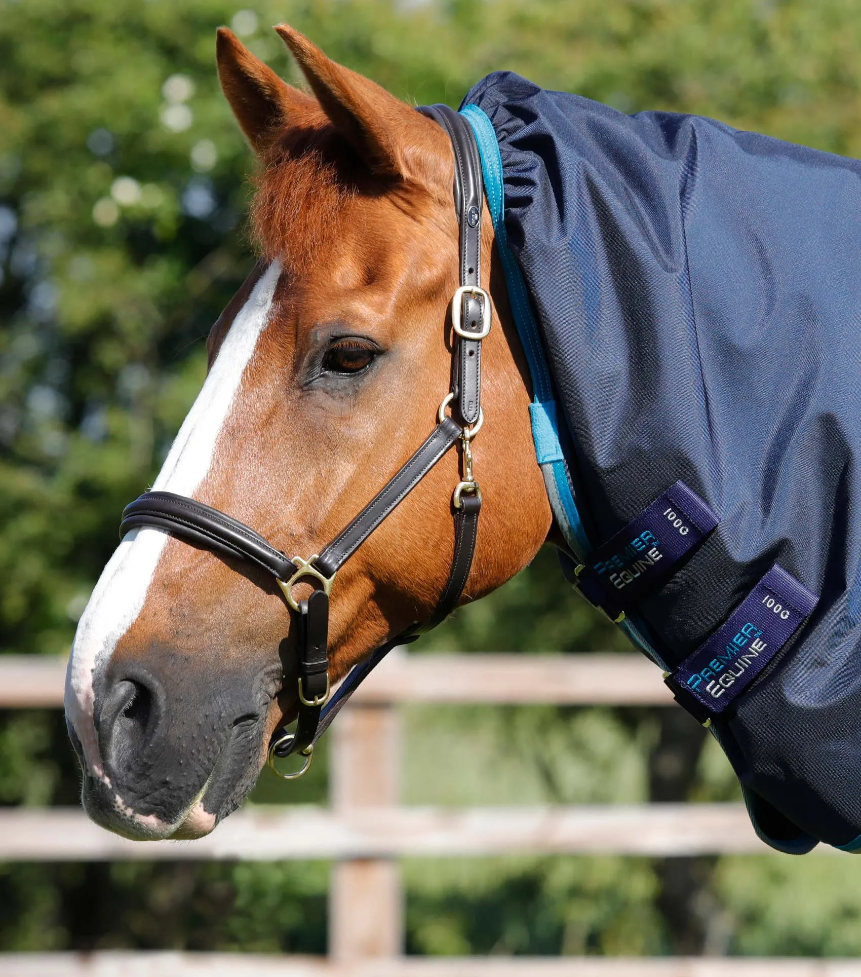 Buster Storm 100g Combo Turnout Rug with Snug-Fit Neck Navy