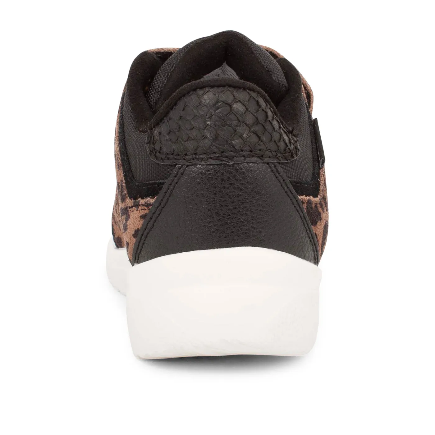Ellis Waterproof Sneak - Brown Leo
