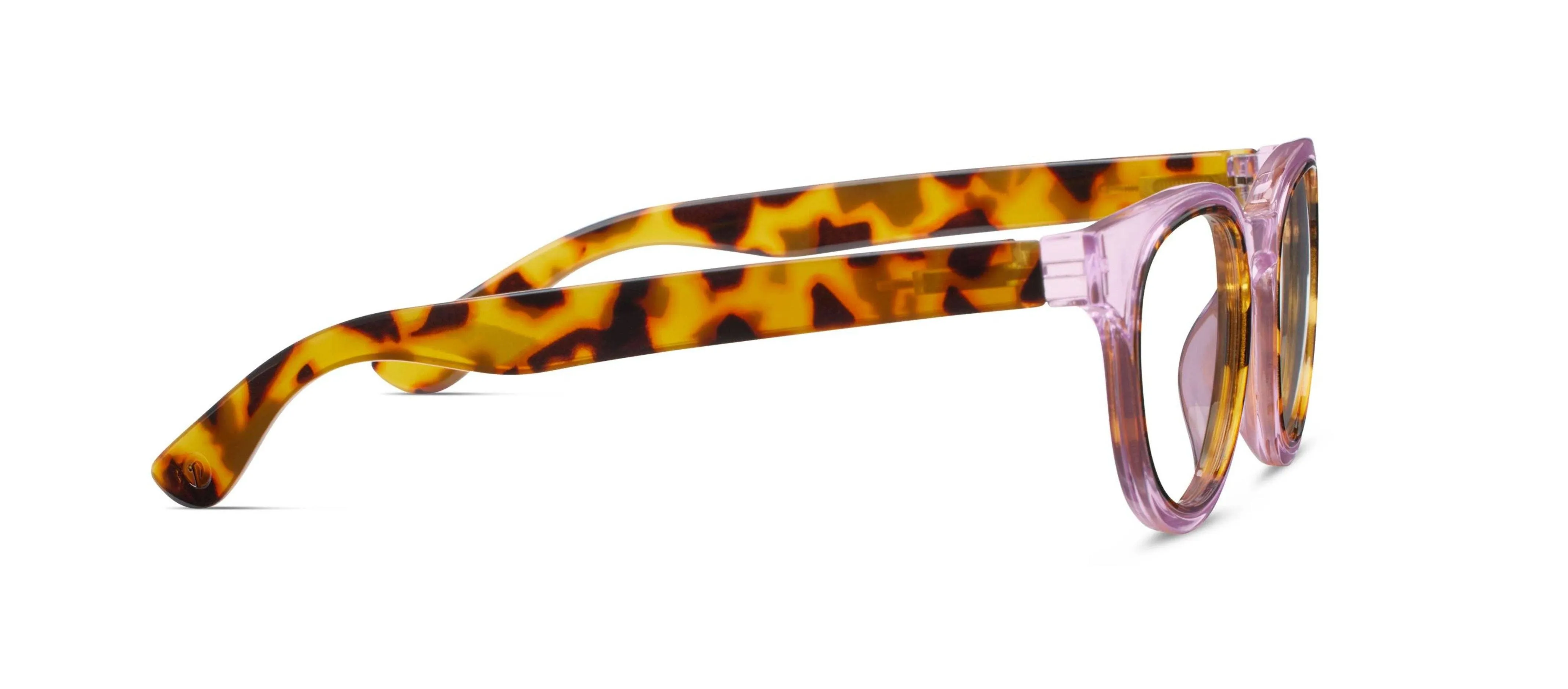 Olympia Glasses