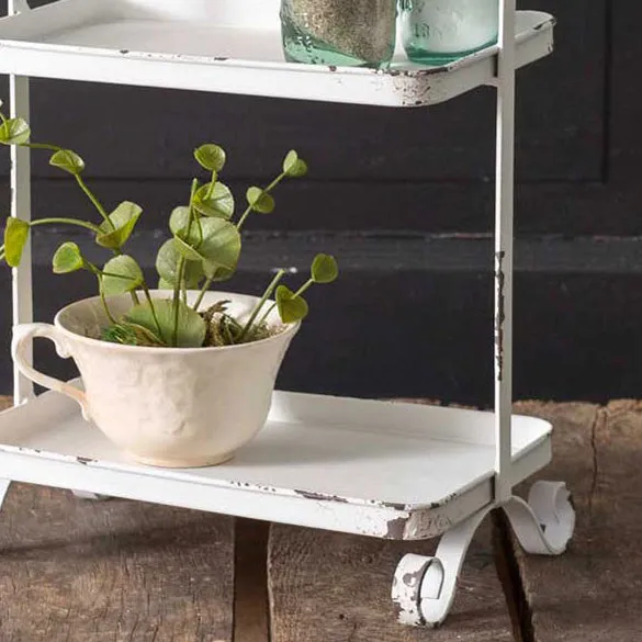 Shabby distressed white songbird caddy